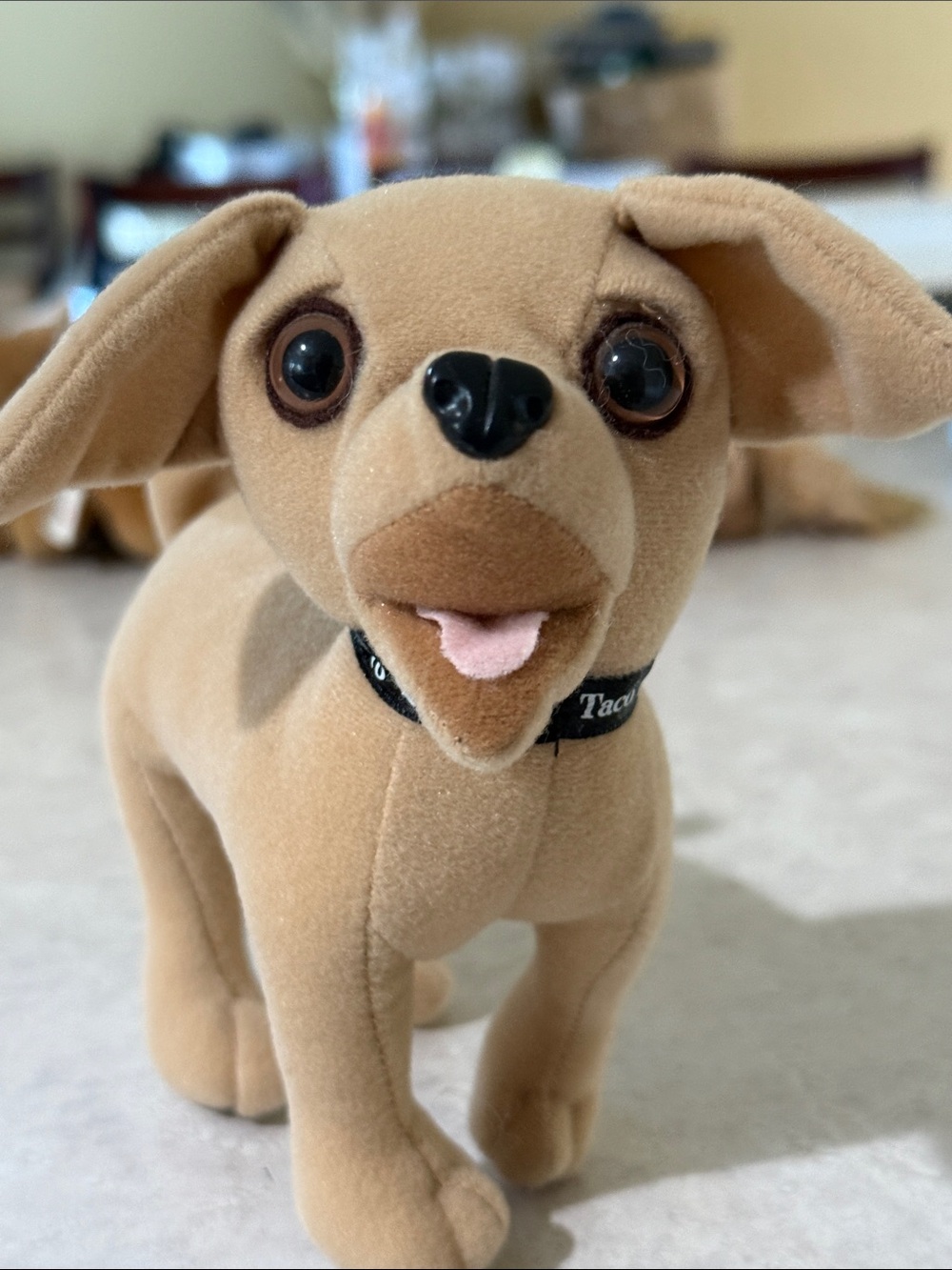 Taco Bell Singing Dog